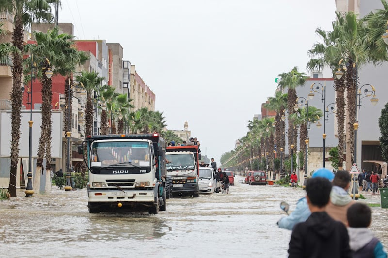 ��� �����