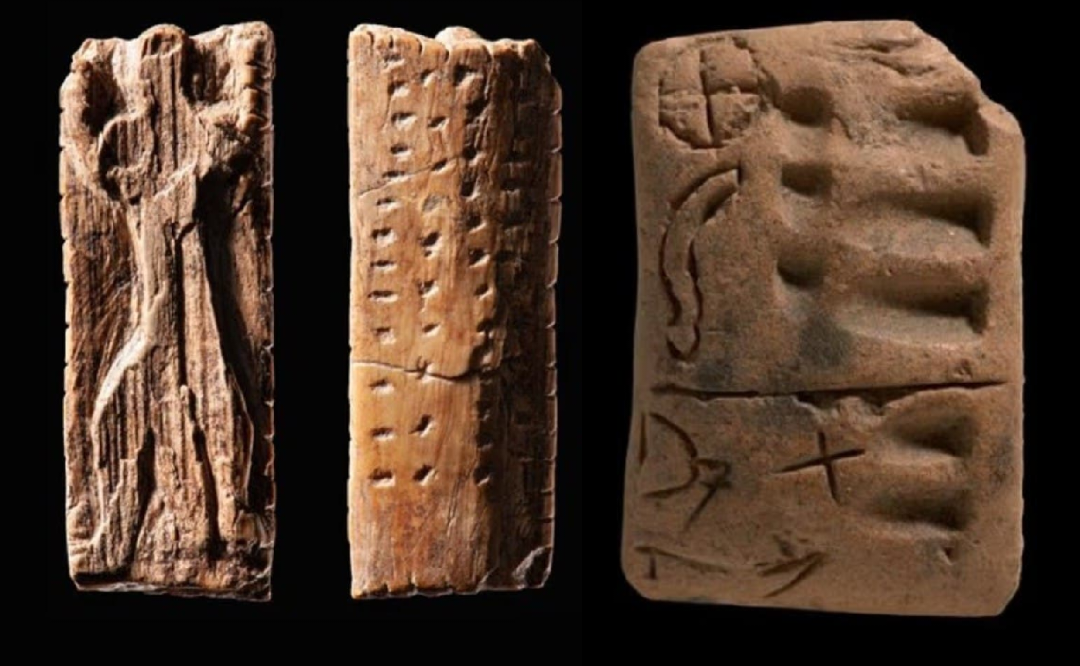 ���� ����� ����� ���� ������ ���� ������ ������� ������