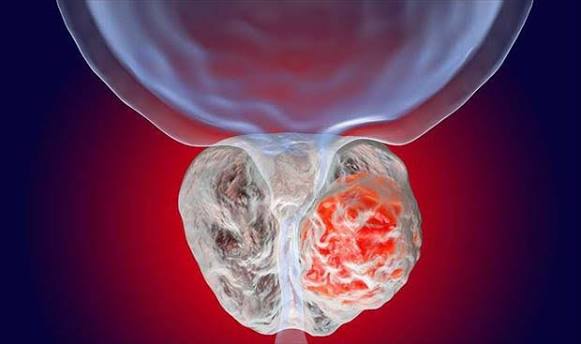 ��� ����� ���� ���� ������ ����� ����� ����� ���������� ������