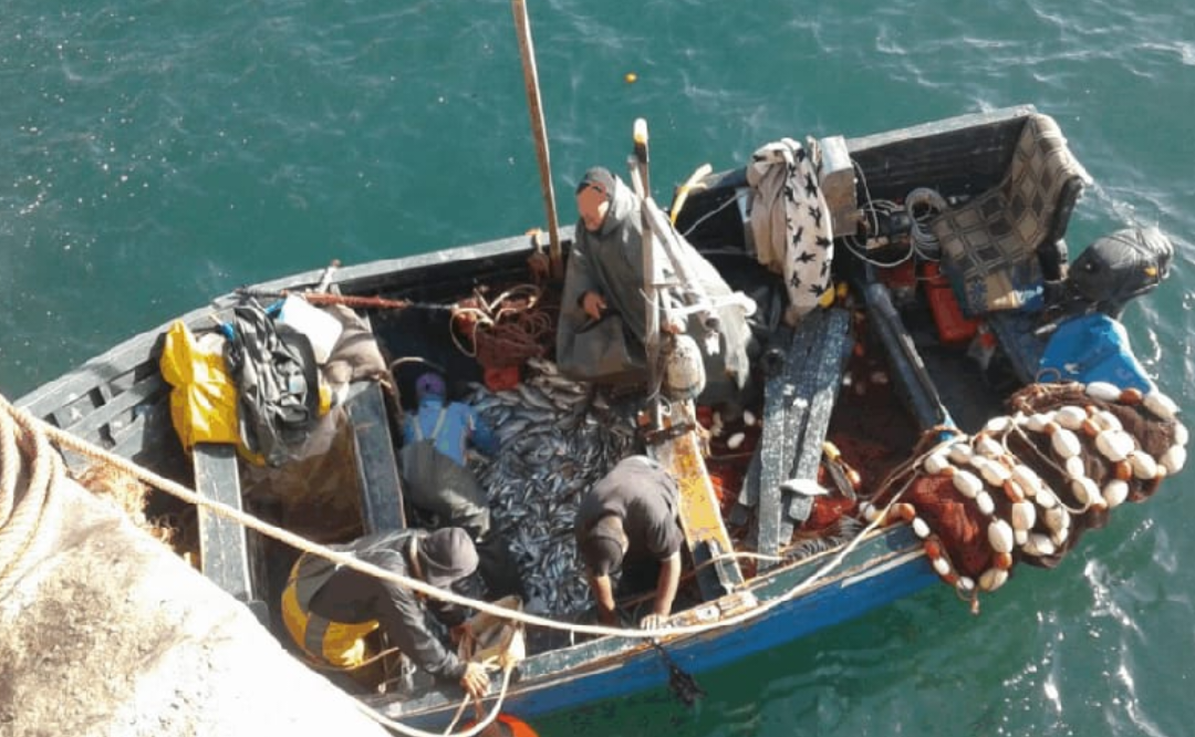 ������ ���� ������ ������� ����� ���� ��� �������