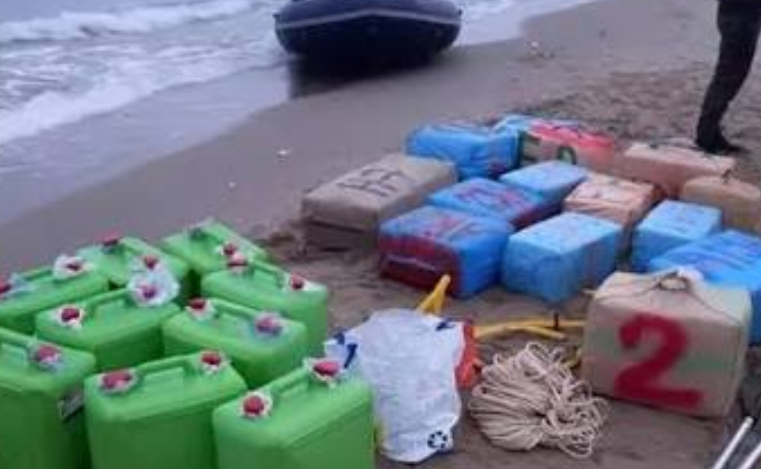 ��� 600 �������� �� ������ ����� ���� ��� ���� ������ ������ ����� ����