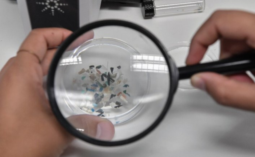 ������ ��������� ��� ��� ���� ��� ���� ��� ������ ��������